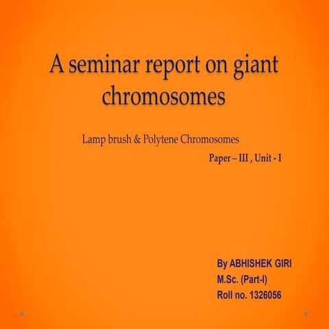 Giant chromosomes-lampbrush & Polytene 