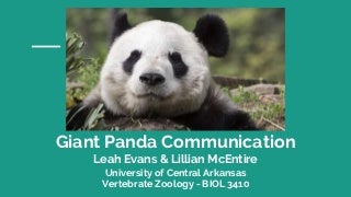 Giant Panda Communication