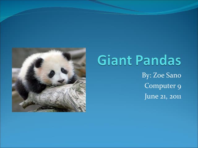 Zoe S Giant Pandas Power Point Ppt Zoe S Giant Pandas Power Point Ppt