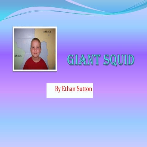 Giant Squid