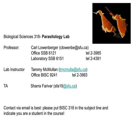 i slide presentation on giardia including all introduction