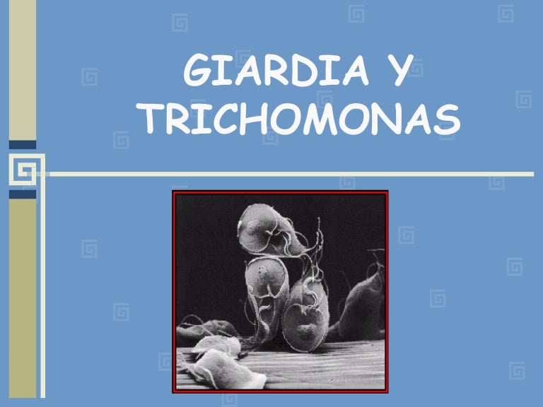 tratamiento giardiasis veterinaria tratamiento giardiasis veterinaria