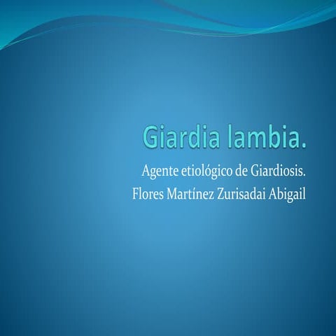 Giardia lambia.