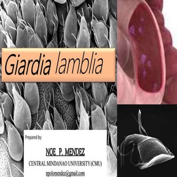 giardialamblia ppt.pptx