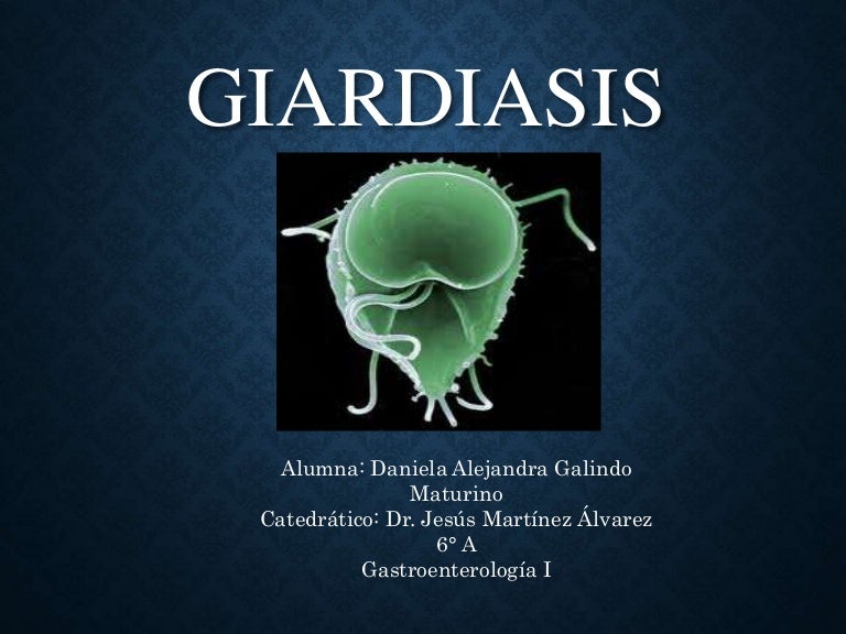 Que es giardia duodenalis quistes Opisthorchiasis és lamblia