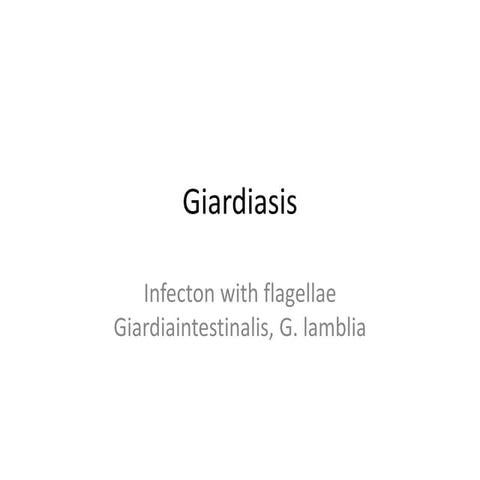 Giardiasis-Understanding-and-Treating-the-Infection.pptx