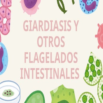 giardiasis y otros flagelados intestinales .pptx