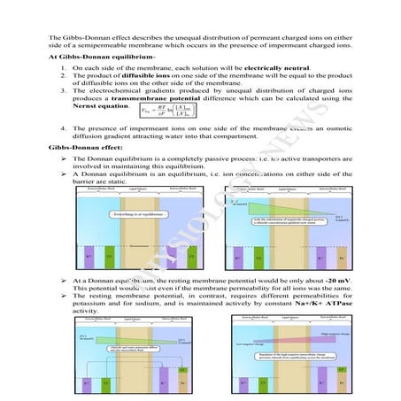 The Gibbs- Donnan equilibrium.
