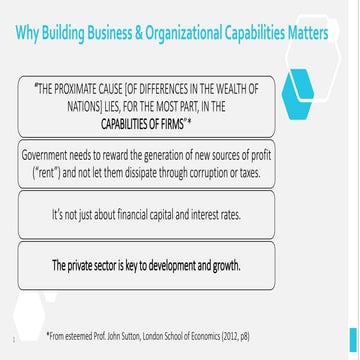 CEO Master Class: South Africa and Dynamic Capabilities - Strategies for Acti...