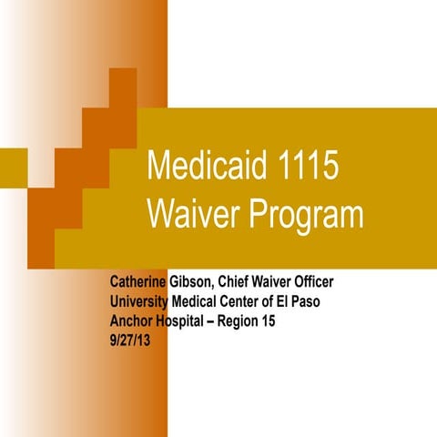 Medicaid 1115 Waiver Program