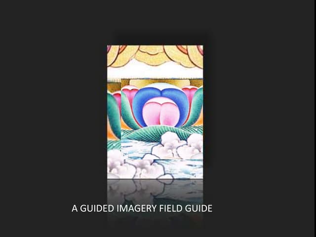 Guided Imagery Field Guide