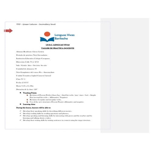 Gieser lesson plan 1   secondary level - corrected