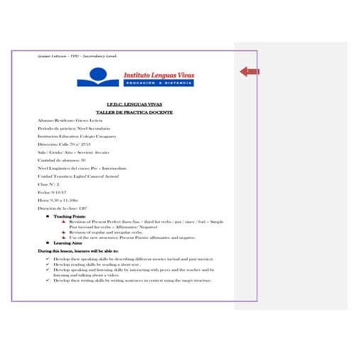 Gieser lesson plan 2   secondary level - corrected