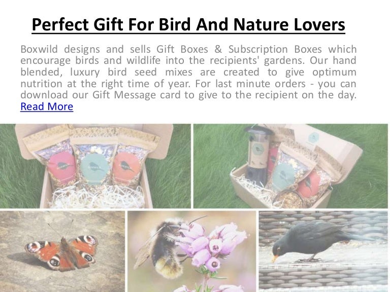 Gifts For Bird Lovers