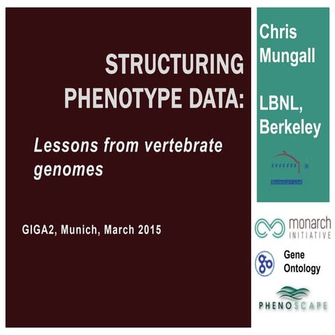 GIGA2 Structuring Phenotype Data