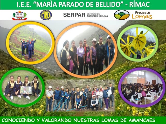 Lomas