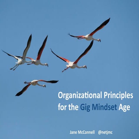 First Thoughts on Organizational Principles for the Gig Mindset Age - 