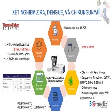 Giải pháp ZIka, Ddsf sdf s fengue, Chik.pptx