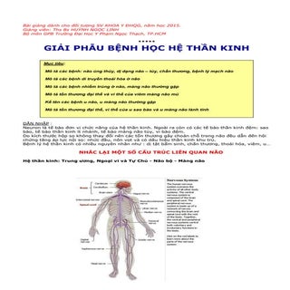 GIẢI PHẪU BỆNH HỌC HỆ THẦN KINH