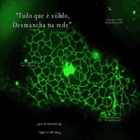 Gil Giardelli Www Versus Wwd A Web 3