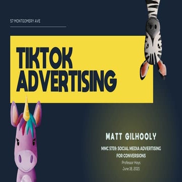 TikTok Advertising Presentation