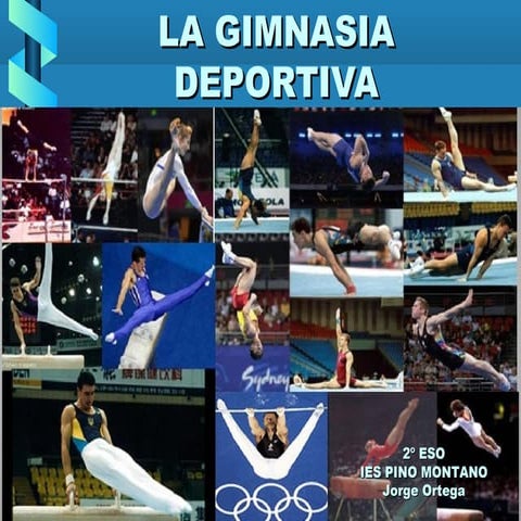 Gimnasia 2ºeso ies pino montano