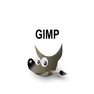 Gimp