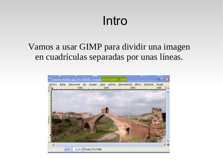 Como Cuadricular Una Imagen Con Gimp