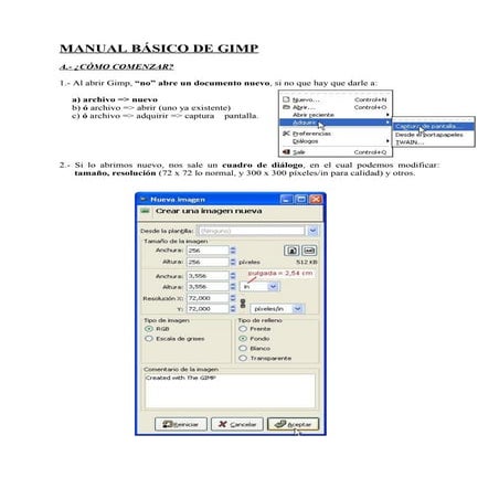 Gimp manual basico by berna