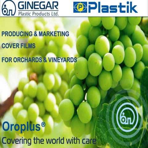 Ginegar - 5 layers technology | PDF