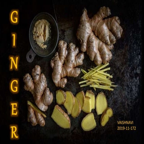 Ginger