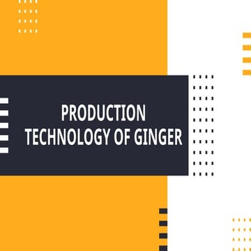 Ginger cultivation and processing methods