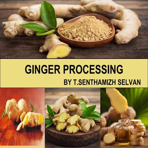 Ginger processing(FROM FIELD TO FORK)