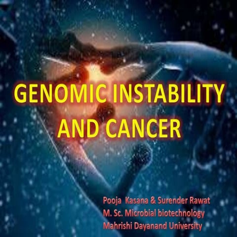 Genomic instability and Cancer