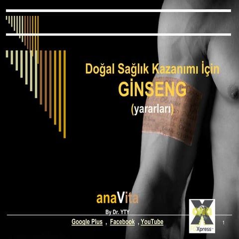Ginseng Özet Yararları
