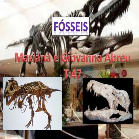 Giovanna e mariana pronto