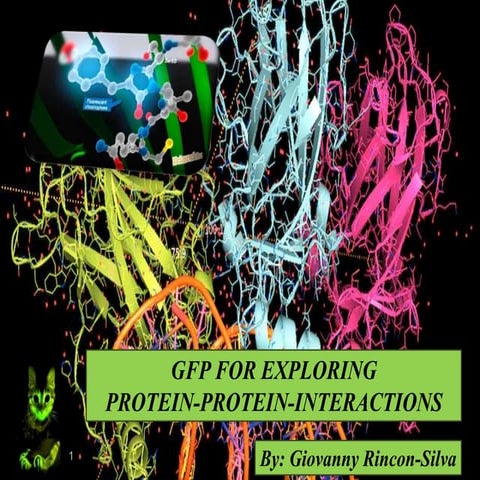 GFP For Exploring Protein-Protein Interactions - Nelson Giovanny Rincon Silva  