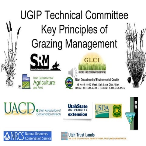 Grazing Improvement Program Grazing Principles 
