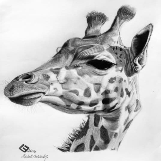 Giraffe | DOCX