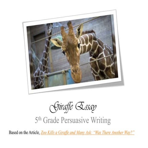 Giraffe essay