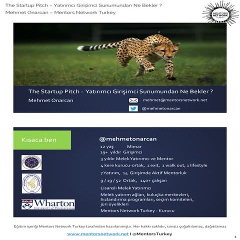 Girişimci Yatırımcı Sunumundan Ne Bekler?