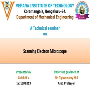 Scaaning electron microscope