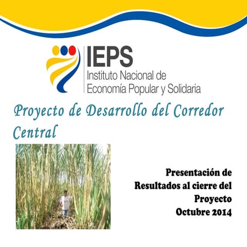 Guisela Sislema - Proyecto de Desarrollo del Corredor Central