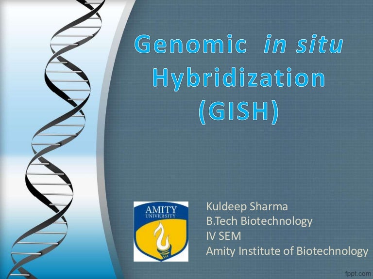 Genomic in situ Hybridization