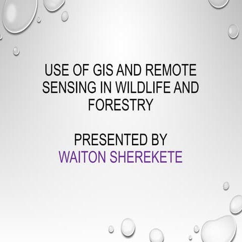 use of gis and remote sensing in wildlife and forestry