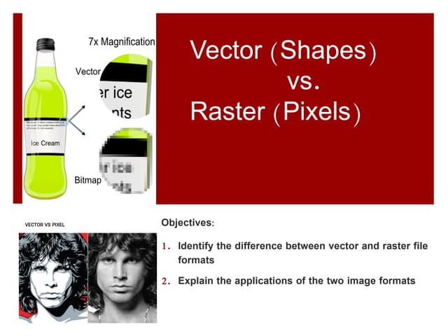 GIS Raster vs Vector for Forestry Class.pdf