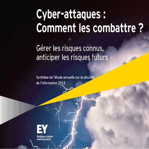 Cyber-attaques : Comment les combattre ? Gérer les risques connus, anticiper ...