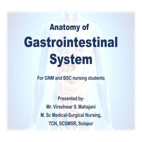 Gut Check: Understanding the human Digestive system