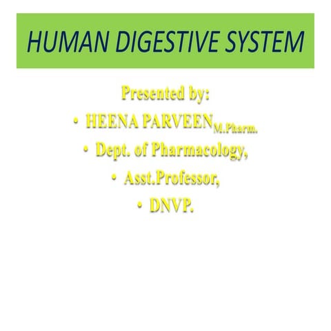 GASTRO-INTESTIAL TRACT/ALIMENTARY CANAL