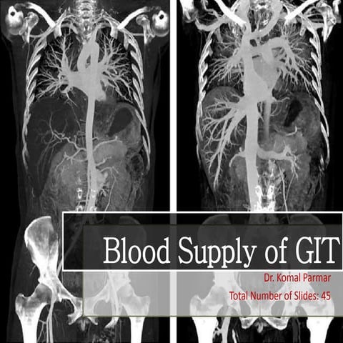 GIT blood supply